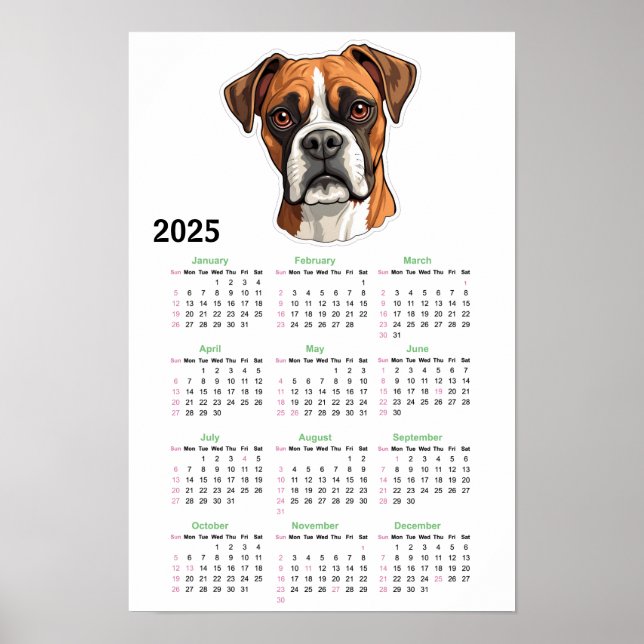 American Bully 2025 Calendar  Poster (Front)