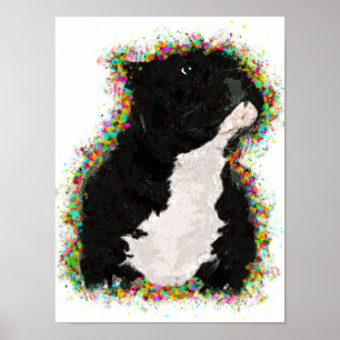American Bully Colourful Pop Art Poster