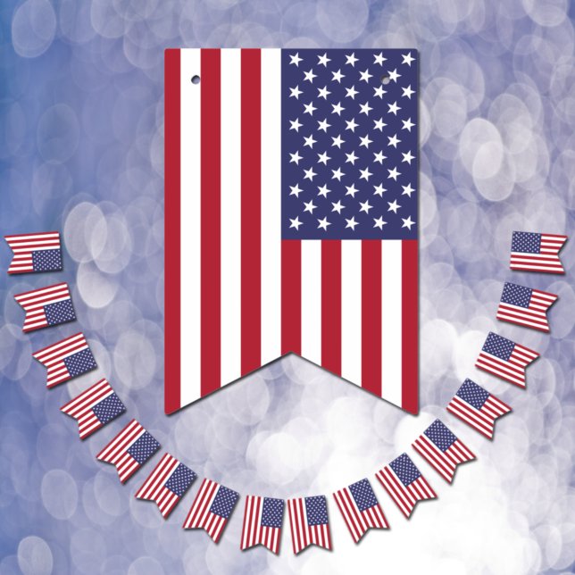 American bunting flags, USA flag of America Party (Creator Uploaded)