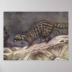 American Civet by Louis Sargent, Vintage Animals Poster