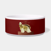 American cocker spaniel