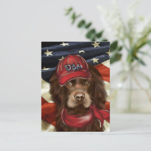 American Cocker Spaniel Postcard