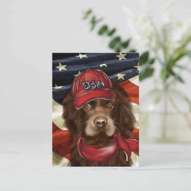 American Cocker Spaniel  Postcard (Standing Front)