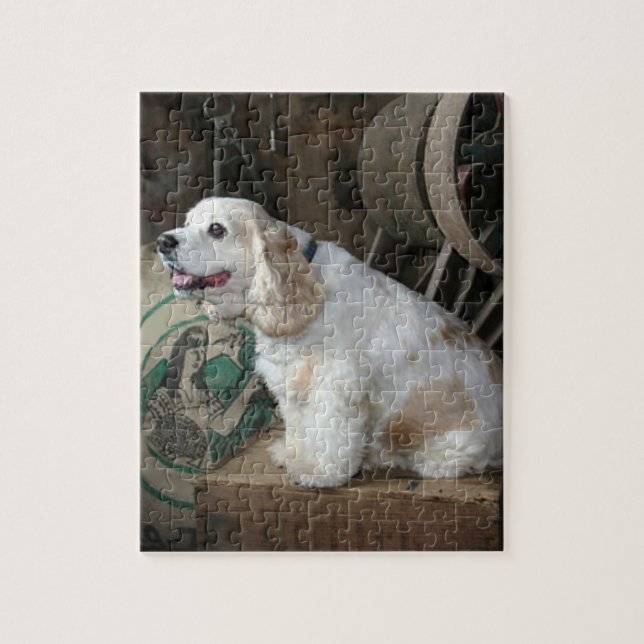 american cocker spaniel sitting jigsaw puzzle (Vertical)
