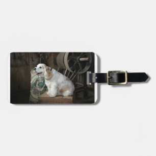 american cocker spaniel sitting luggage tag