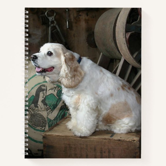 american cocker spaniel sitting notebook (Front)