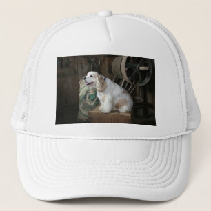 american cocker spaniel sitting trucker hat