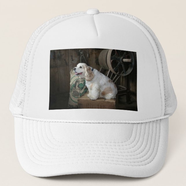 american cocker spaniel sitting trucker hat (Front)