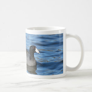 American Coot Coffee Mug