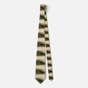 American Coot from Audubon's Birds of America Tie