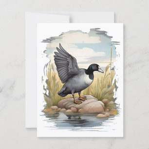 American coot in wetlands postcard