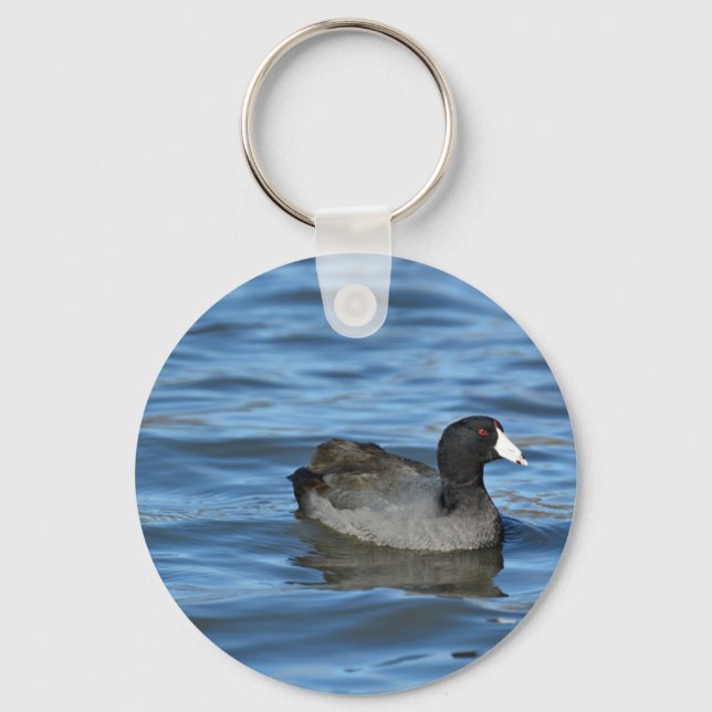 American Coot Key Ring (Front)