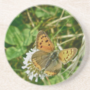 American Copper Butterfly Coaster