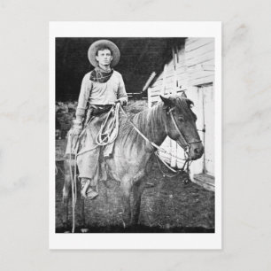 American cowboy in Kansas, c.1880 (b/w photo) Postcard