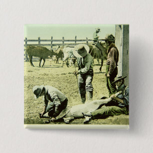 American cowboys branding a calf, c.1900 (photo) 15 cm square badge