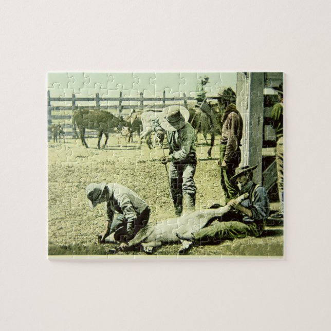 American cowboys branding a calf, c.1900 (photo) jigsaw puzzle (Horizontal)