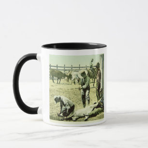 American cowboys branding a calf, c.1900 (photo) mug
