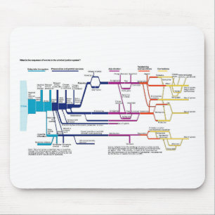 American Criminal Justice System Process Flowchart Mouse Pad
