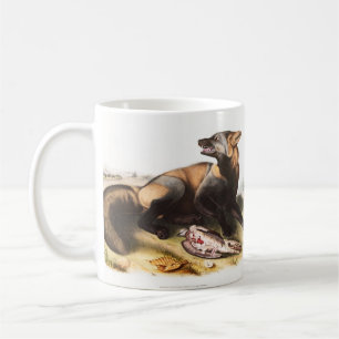 American Cross Fox (Canis vulpes) Illustration Coffee Mug
