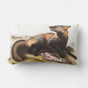 American Cross Fox (Canis vulpes) Illustration Lumbar Cushion