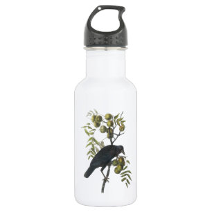 American Crow by Audubon 532 Ml Water Bottle