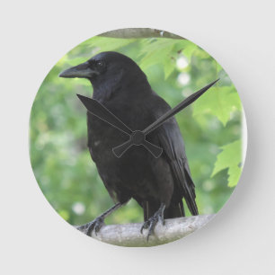 American Crow Clock