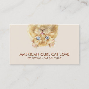 American Curl Cat Business Card
