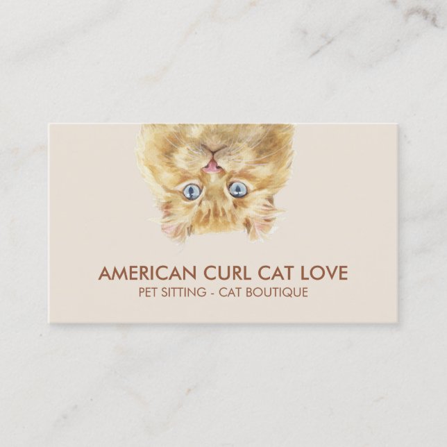 American Curl Cat Business Card (Front)
