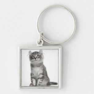 American Curl Kitten (3 months old) Key Ring