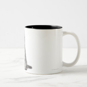 American Curl Kitten (3 months old) Two-Tone Coffee Mug