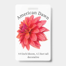 American Dawn Dahlia ID Badge