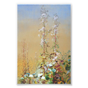 American desert flora by Fidelia Bridges Photo Print
