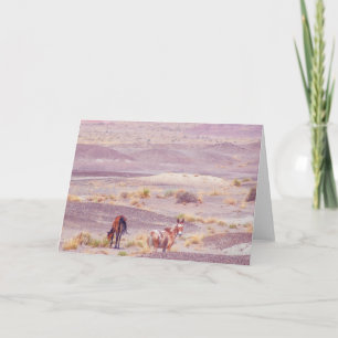 American Desert Horses P8670 Card