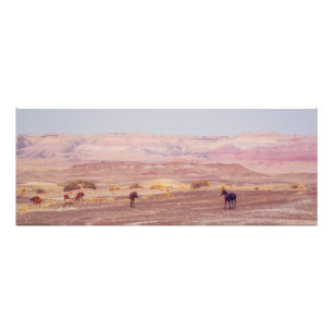 American Desert Horses P8670 Photo Print
