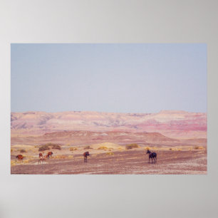 American Desert Horses P8670 Poster