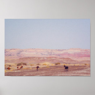 American Desert Horses P8670 Poster