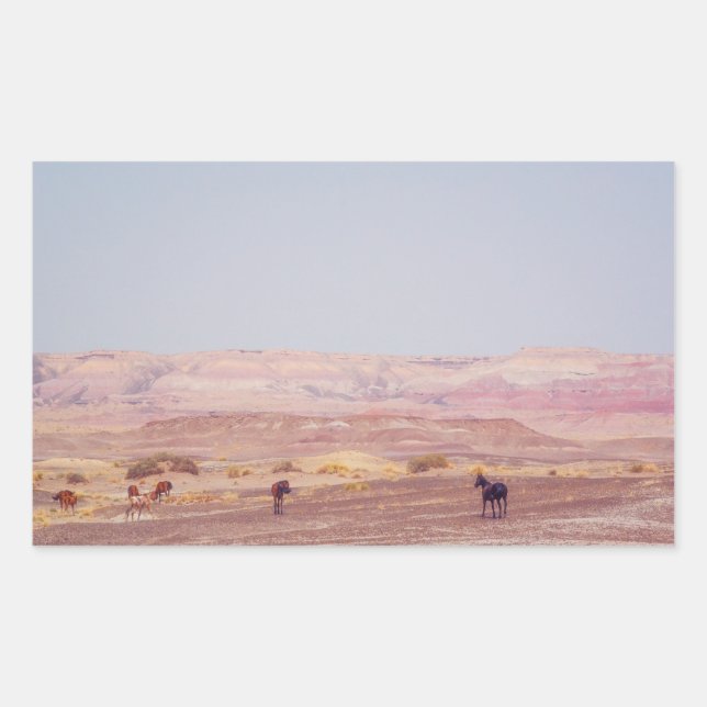 American Desert Horses P8670 Rectangular Sticker (Front)
