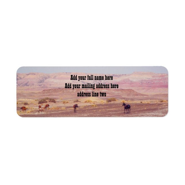 American Desert Horses P8670 Return Address Label (Front)