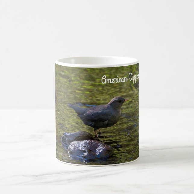American Dipper Coffee Mug (Center)