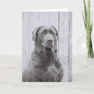 American Dog Card
