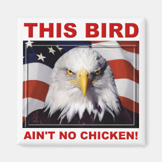 American Eagle Ain't No Chicken Fridge Magnet