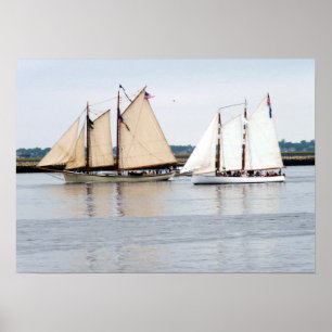 American Eagle and Adirondack III Poster