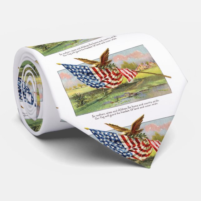 American Eagle and Flag Tie (Rolled)