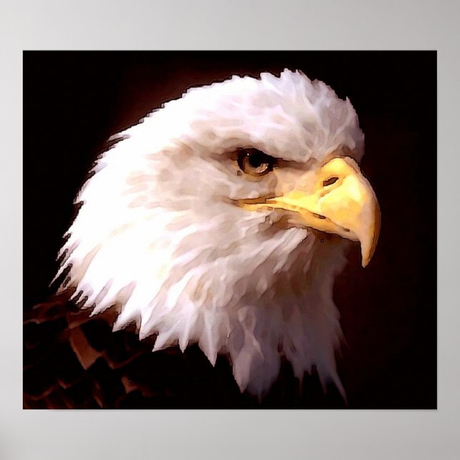 American Eagle Bald Eagle Poster Print (Front)