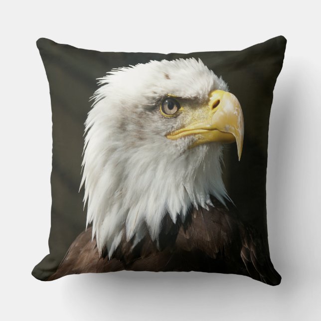 American Eagle Cushion (Front)
