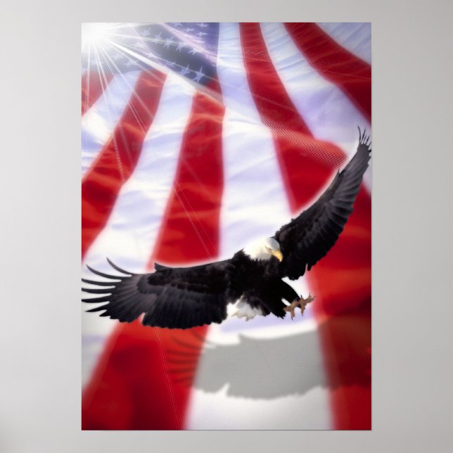 American Eagle & Flag Poster (Front)