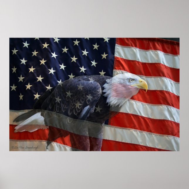 American Eagle Flag Print (Front)