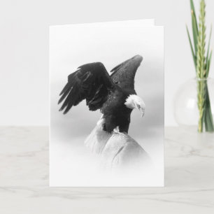 American Eagle Greeting Card