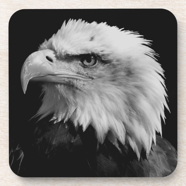 American Eagle Leadership Motivational Coaster (Front)