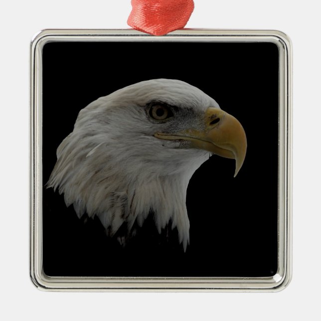 American Eagle Leadership Motivational Metal Ornament (Front)